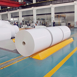 SGS ISO High Whiteness PE Coated Paper Cup Roll Paper Cup Raw Material