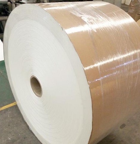 Food Grade Paper Cup Raw Material PE Coated Paper Cup Roll