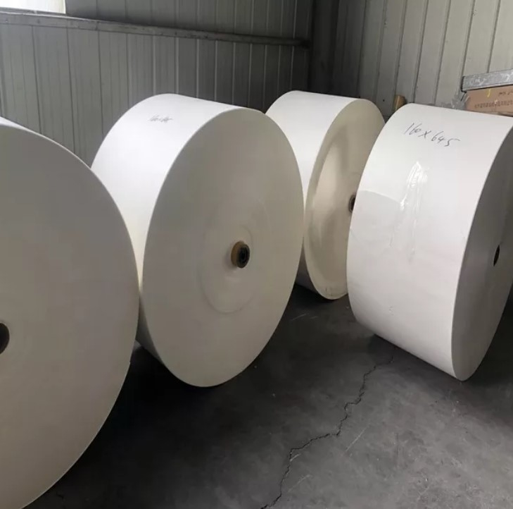 OEM 190gsm 260gsm PE Coated Cup Stock Paper In Roll Sheet