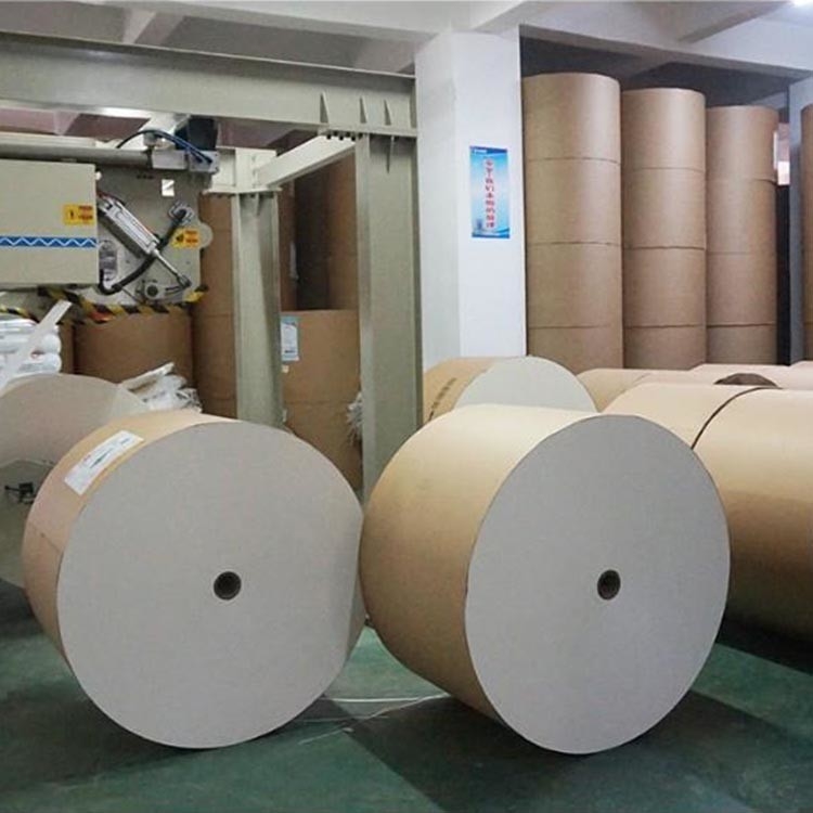 China Manufacture Professional Paper Cup Raw Material Pe Coated Paper Cup Roll