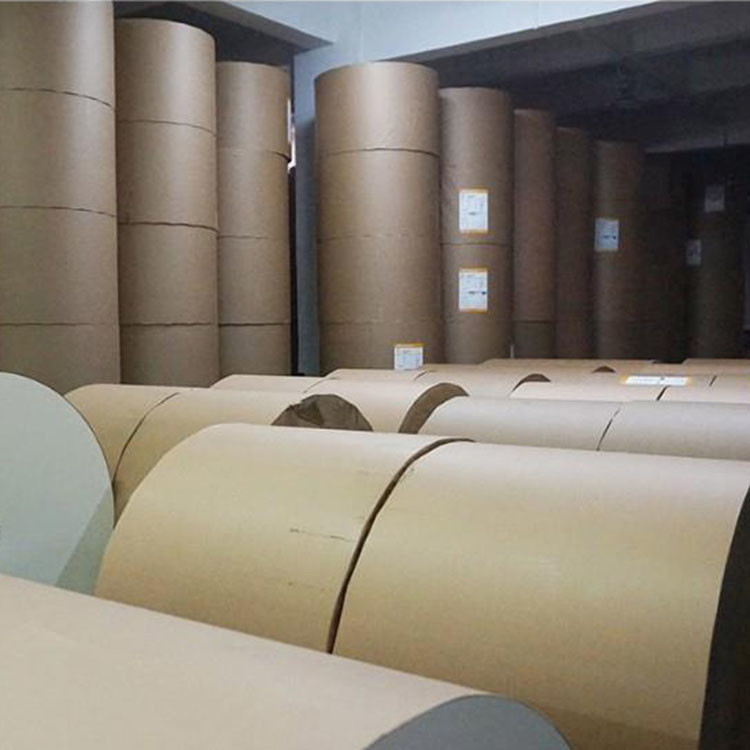 Pe Coated Paper Cup Raw Material Eco Friendly Food PE Paper Roll